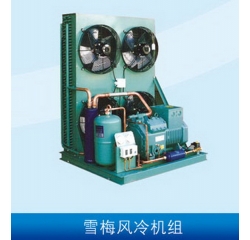 雪梅风冷机组